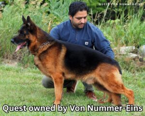 Quest owned by Von Nummer-Eins
