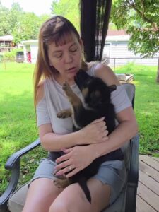 Kenai, a German Shepherd puppy, interacting with his breeder during individual handling