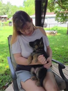 Nita, a young German Shepherd puppy, being held and socialized by her breeder