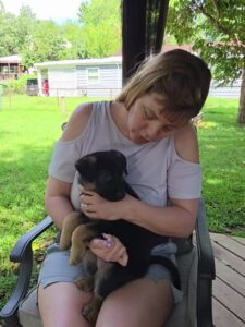 Tanana, a black and tan German Shepherd puppy, relaxing during individual handling