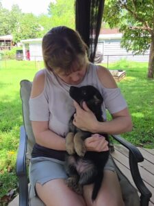 Innoko, a German Shepherd puppy, looking up at her breeder during one-on-one handling