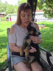 Rutt, a young German Shepherd puppy, interacting with his breeder during socialization