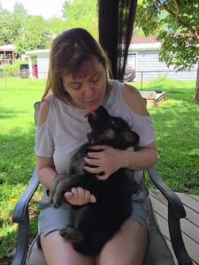 Tuke, a German Shepherd puppy, being held during individual handling and socialization