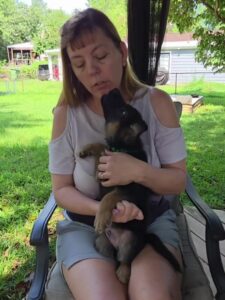 Koda, a black and tan German Shepherd puppy, interacting with her breeder during one-on-one handling